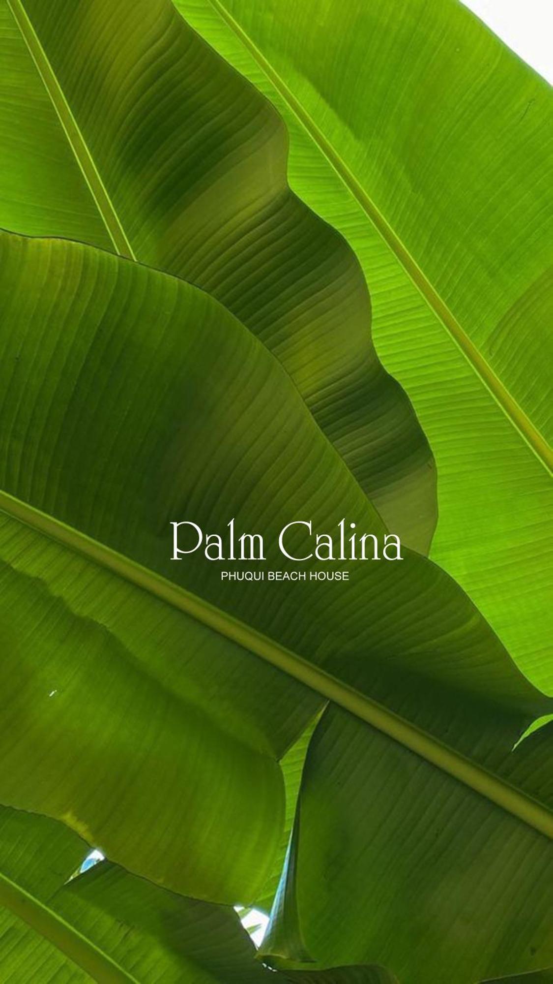 Palmcalina - Phuqui Beach House Cu Lao Thu Εξωτερικό φωτογραφία