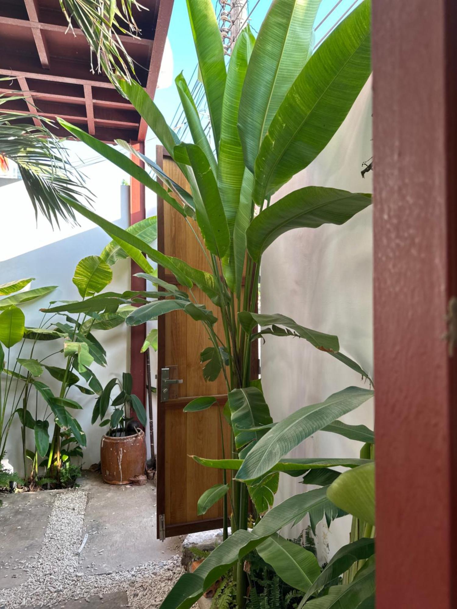 Palmcalina - Phuqui Beach House Cu Lao Thu Εξωτερικό φωτογραφία